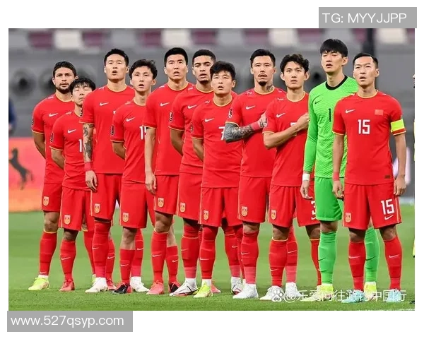 2025年印尼足球联赛顶级球星排名及表现分析