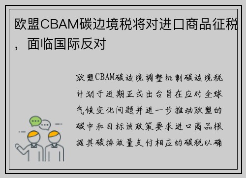 欧盟CBAM碳边境税将对进口商品征税，面临国际反对